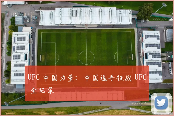 UFC 中国力量:中国选手征战 UFC 全记录