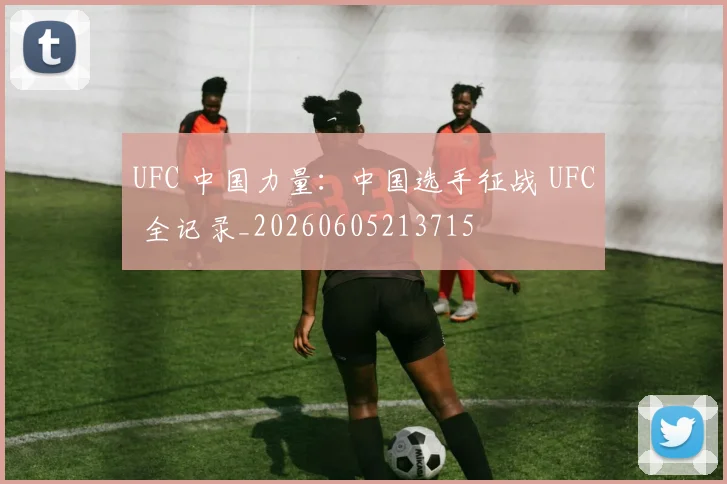 UFC 中国力量:中国选手征战 UFC 全记录_20260605213715