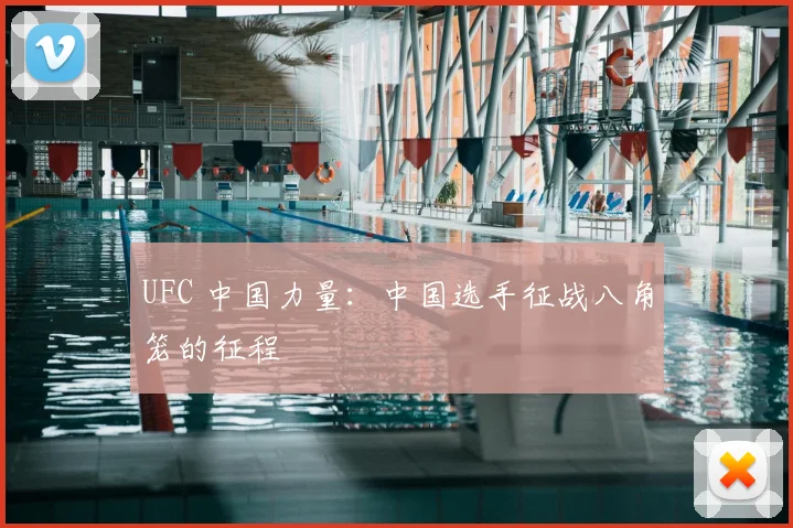 UFC 中国力量:中国选手征战八角笼的征程