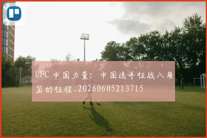 UFC 中国力量:中国选手征战八角笼的征程_20260605213715