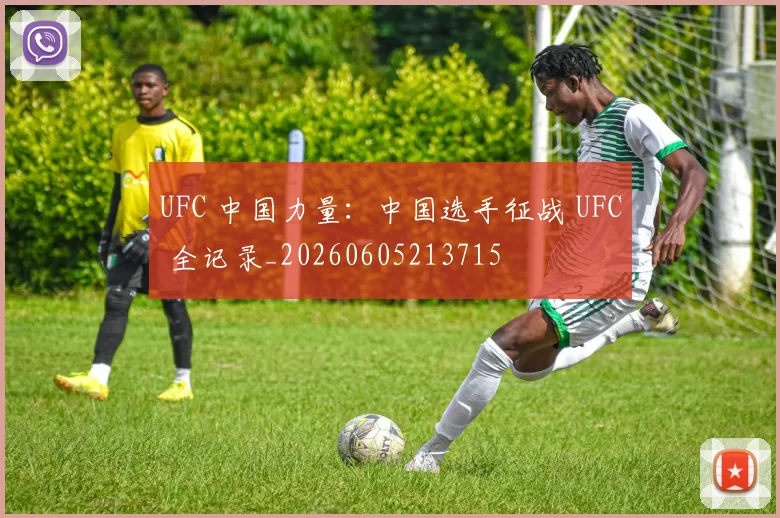 UFC 中国力量:中国选手征战 UFC 全记录_20260605213715