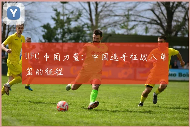 UFC 中国力量:中国选手征战八角笼的征程